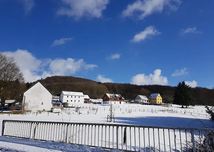 Holiday home Waldhaus Nearby Nuerburgring